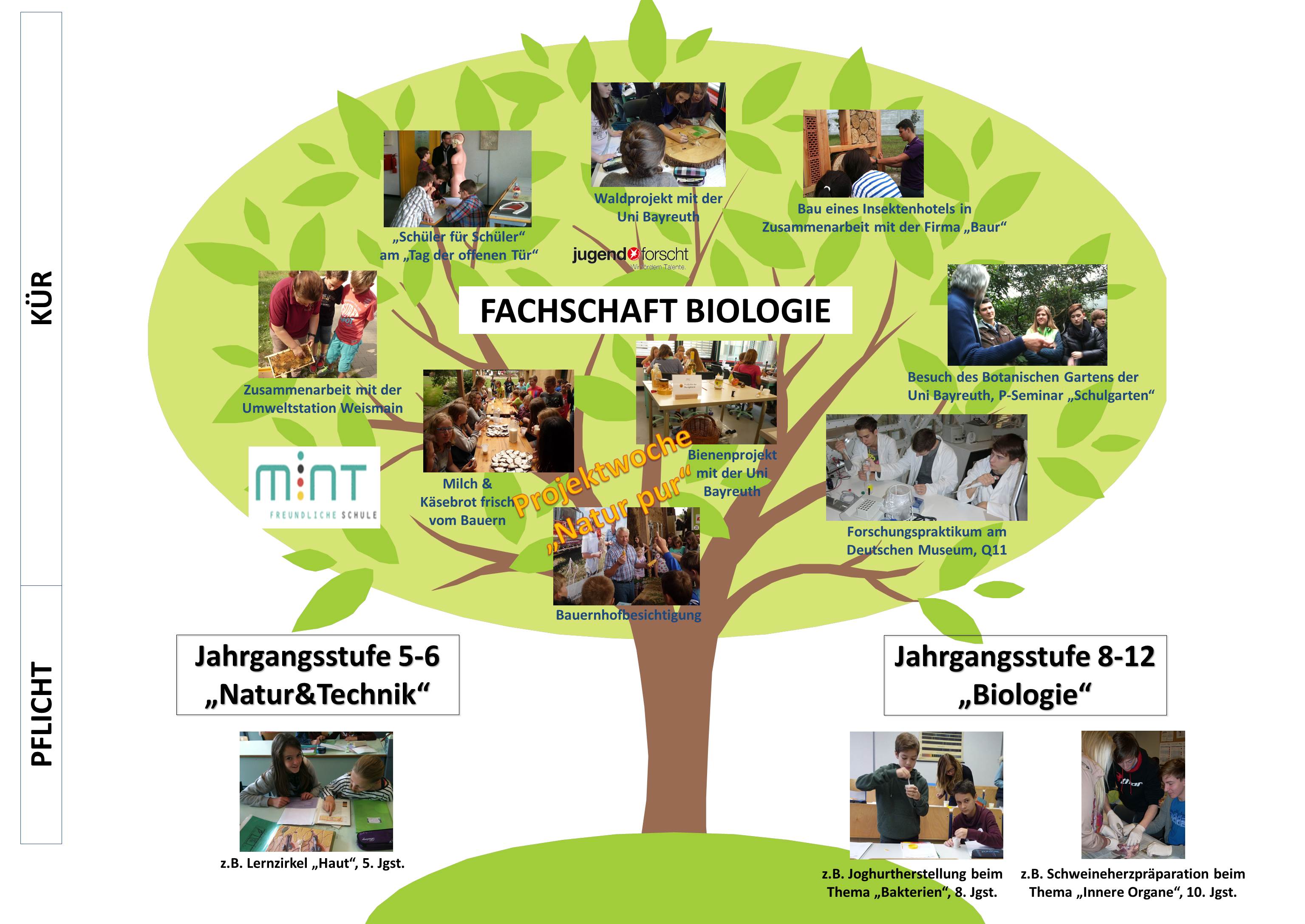 bio fs vorstellung