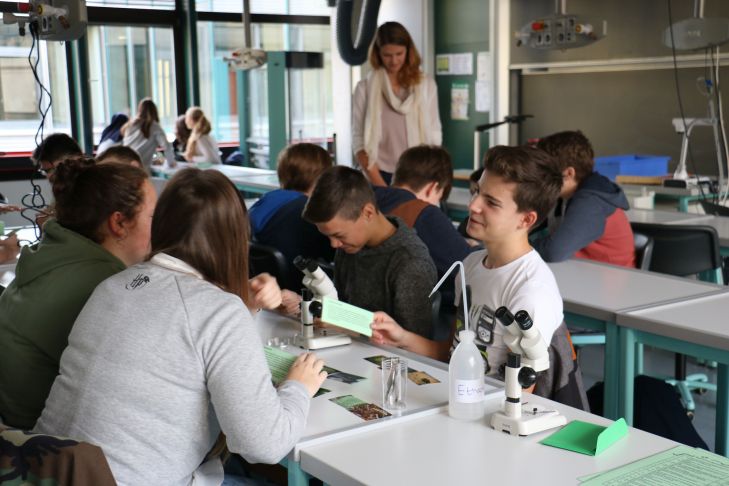 Waldprojekt klein10